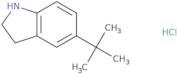 5-tert-Butyl-2,3-dihydro-1H-indole hydrochloride