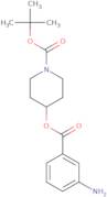 tert-Butyl 4-(3-aminobenzoyloxy)piperidine-1-carboxylate