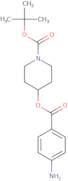 tert-Butyl 4-(4-aminobenzoyloxy)piperidine-1-carboxylate