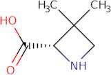 (2S)-3,3-Dimethylazetidine-2-carboxylic acid