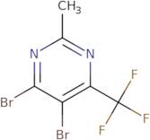 (6-Bromo-pyridin-2-yl)-methyl-piperidin-3-yl-amine hydrochloride