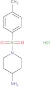 (2,6-Dichloro-benzyl)-pyrrolidin-2-ylmethyl-amine hydrochloride