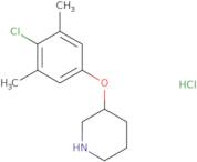 Methyl-[1-(thiophene-2-sulfonyl)-piperidin-3-yl]-amine hydrochloride