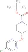 4-(5-Chloro-pyrimidin-2-yloxy)-piperidine-1-carboxylic acid tert-butyl ester