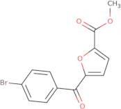 C-[1-(2,6-Dichloro-benzyl)-piperidin-4-yl]-methylamine hydrochloride