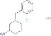 1-(2-Chloro-benzyl)-piperidin-3-ylamine hydrochloride