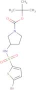 (S)-3-(5-Bromo-thiophene-2-sulfonylamino)-pyrrolidine-1-carboxylic acid tert-butyl ester