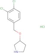 (R)-3-(3,4-Dichloro-benzyloxy)-pyrrolidine hydrochloride