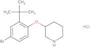 4-(3-Methyl-pyrazin-2-yloxy)-piperidine-1-carboxylic acid tert-butyl ester