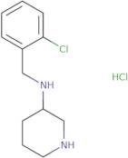 (2-Chloro-benzyl)-piperidin-3-yl-amine hydrochloride