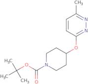 4-(6-Methyl-pyridazin-3-yloxy)-piperidine-1-carboxylic acid tert-butylester