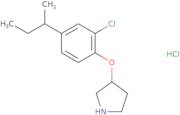C-[1-(5-Bromo-thiophene-2-sulfonyl)-piperidin-3-yl]-methylamine hydrochloride