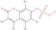 7-Hydroxy coumarin-d5 sulfate potassium salt