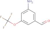 3-Amino-5-(trifluoromethoxy)benzaldehyde