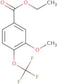 Ethyl 3-methoxy-4-(trifluoromethoxy)benzoate