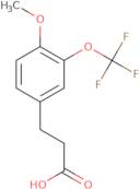 3-[4-Methoxy-3-(trifluoromethoxy)phenyl]propionic acid