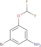 3-Bromo-5-(difluoromethoxy)aniline