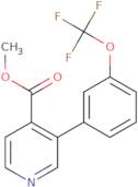 Methyl 3-(3-(trifluoromethoxy)phenyl)isonicotinate