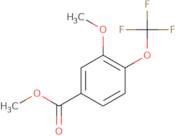 Methyl 3-methoxy-4-(trifluoromethoxy)benzoate