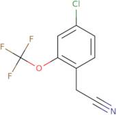 4-Chloro-2-(trifluoromethoxy)phenylacetonitrile