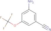 3-Amino-5-(trifluoromethoxy)benzonitrile