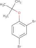 2,4-Dibromo-1-tert-butoxybenzene