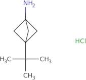 3-tert-Butylbicyclo[1.1.1]pentan-1-amine hydrochloride