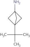 3-tert-Butylbicyclo[1.1.1]pentan-1-amine hydrochloride