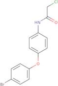 N-[4-(4-Bromophenoxy)phenyl]-2-chloroacetamide