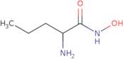 N-Hydroxy2-aminopentanimidic acid