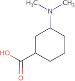 3-(Dimethylamino)cyclohexane-1-carboxylic acid