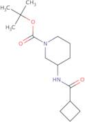 (R)-tert-Butyl 3-(cyclobutanecarbonylamino)piperidine-1-carboxylate