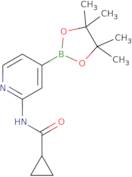 N-[4-(Tetramethyl-1,3,2-dioxaborolan-2-yl)pyridin-2-yl]cyclopropanecarboxamide