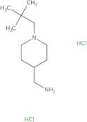 (1-Neopentylpiperidin-4-yl)methanamine dihydrochloride