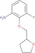 3-Fluoro-2-[(tetrahydrofuran-2-yl)methoxy]aniline
