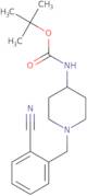 tert-Butyl 1-(2-cyanobenzyl)piperidin-4-ylcarbamate