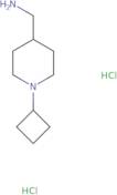 (1-Cyclobutylpiperidin-4-yl)methanaminedihydrochloride