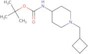 tert-Butyl 1-(cyclobutylmethyl)piperidin-4-ylcarbamate