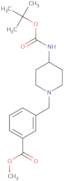 Methyl 3-[4-(tert-butoxycarbonylamino)piperidin-1-yl]methylbenzoate