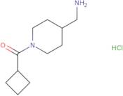 [4-(Aminomethyl)piperidin-1-yl](cyclobutyl)methanone hydrochloride