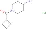 1-Cyclobutanecarbonylpiperidin-4-amine hydrochloride