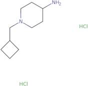 1-(Cyclobutylmethyl)piperidin-4-amine dihydrochloride