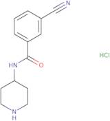 3-Cyano-N-piperidin-4-yl-benzamide hydrochloride