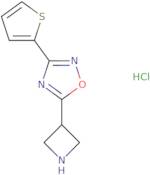 5-Azetidin-3-yl-3-(2-thienyl)-1,2,4-oxadiazole hydrochloride