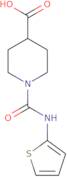 1-[(2-Thienylamino)carbonyl]piperidine-4-carboxylic acid