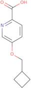 5-(Cyclobutylmethoxy)pyridine-2-carboxylic acid
