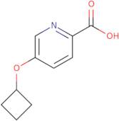 5-Cyclobutoxypyridine-2-carboxylic acid