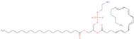 1-Stearoyl-2-arachidonoyl-sn-glycero-3-pe