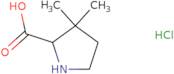 3,3-Dimethylpyrrolidine-2-carboxylic Acid Hydrochloride