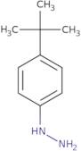 (4-tert-Butylphenyl)hydrazine